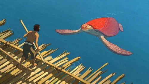 La Tortue rouge dans le film d'animation de Michael Dudok de Wit