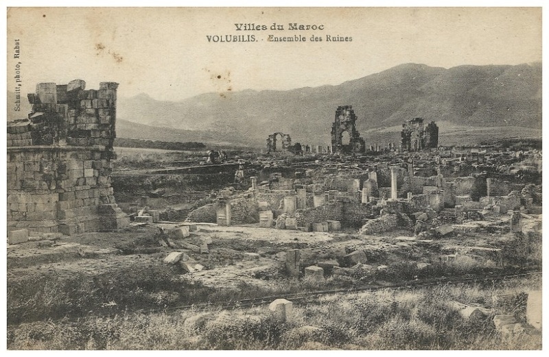 Schmitt, Volubilis cité romaine