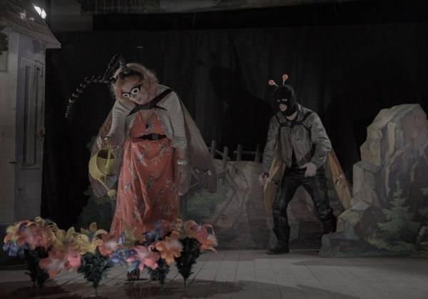 Les deux insectes sur scène dans le film Jan Svankmajer