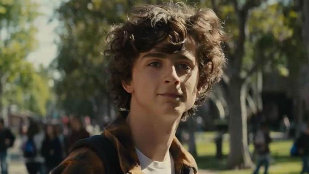 Timothée Chalamet dans Beautiful Boy