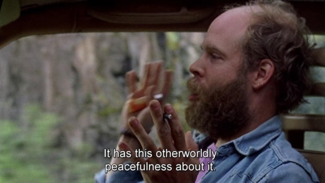 Will Oldham dans Old Joy