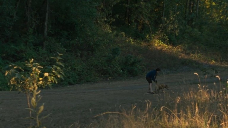 Wendy et son chien en forêt dans Wendy et lucy