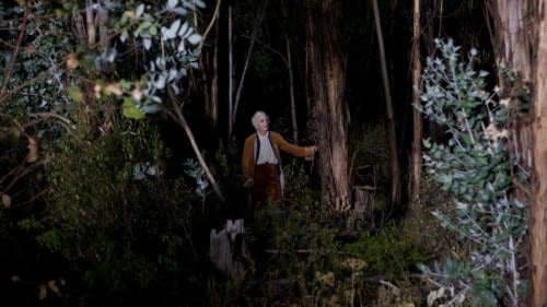 Helmut Berger dans la forêt de Liberté