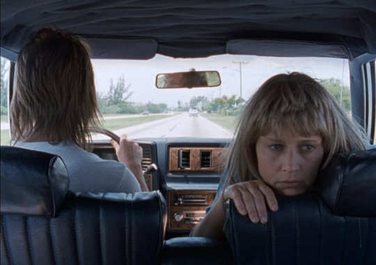 Lisa Bowman et Larry Fessenden on the road dans River of Grass