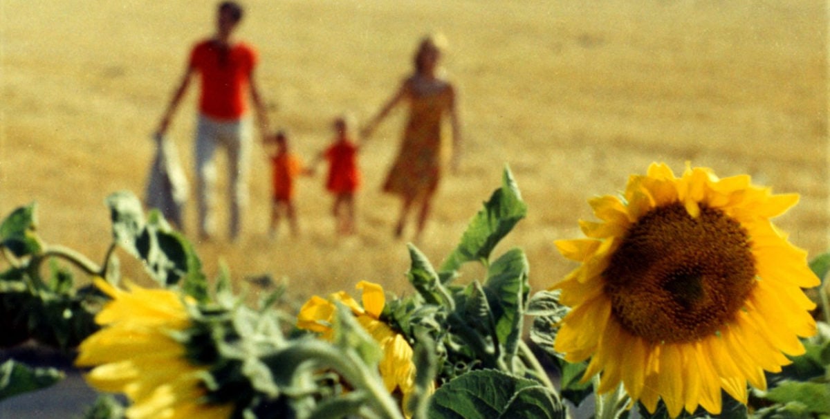 La famille et les tournesols dans Le Bonheur d'Agnès Varda