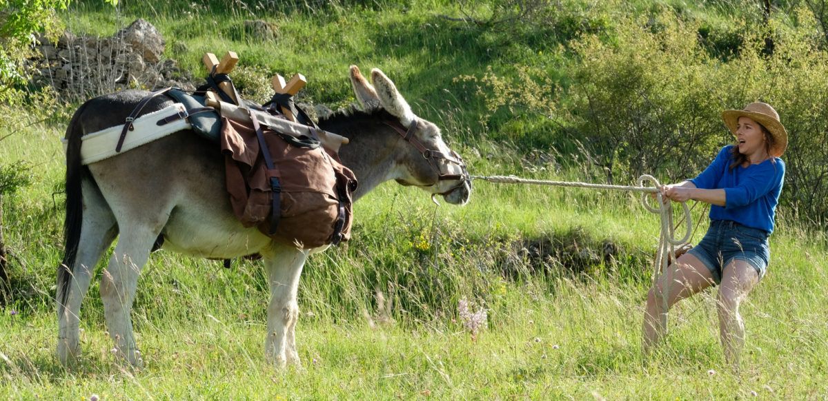 Laure Calamy tirant l'âne Patrick dans Antoinette dans les Cevennes