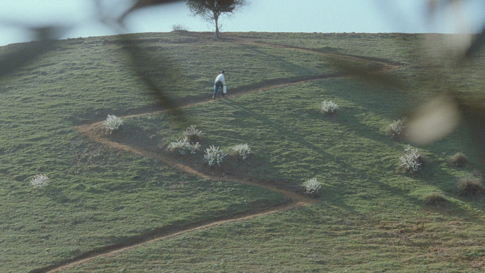 Un enfant monte une colline typique de Kiarostami dans Au travers des oliviers