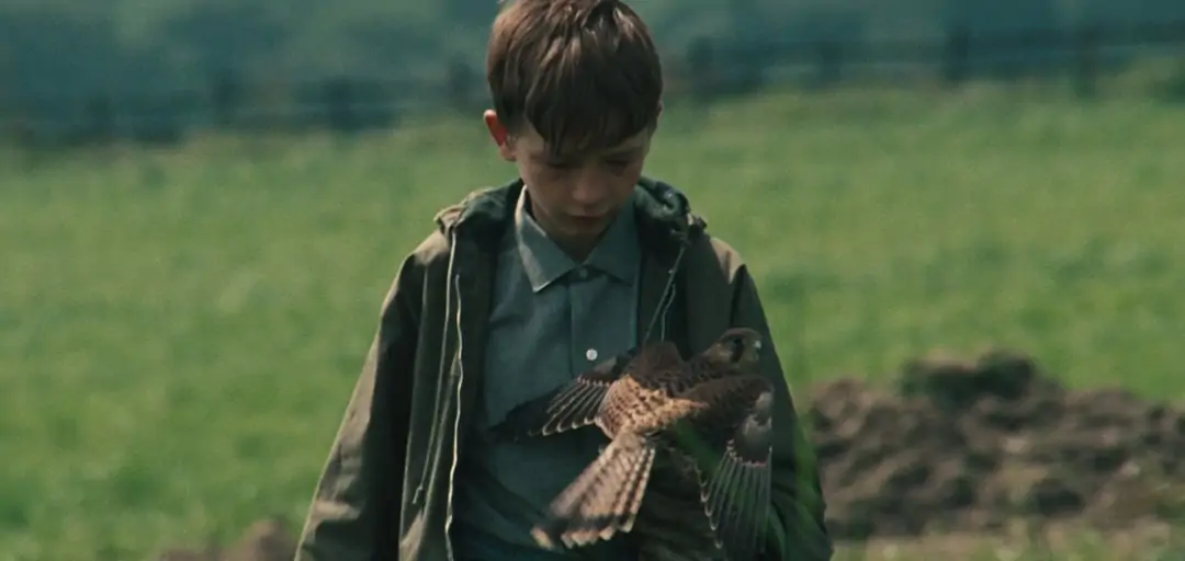 Billy (David Bradley) avec son faucon dans les champs dans Kes