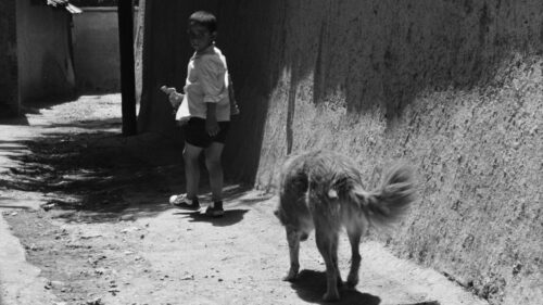 L'enfant et le chien dans Le Pain et la rue