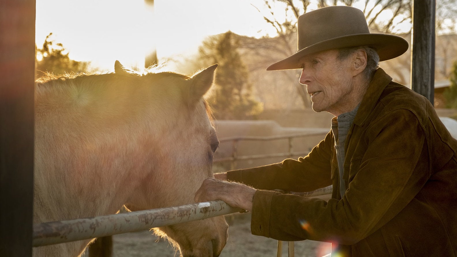 Mike (Clint Eastwood) s'occupe de son cheval au ranch dans Cry Macho