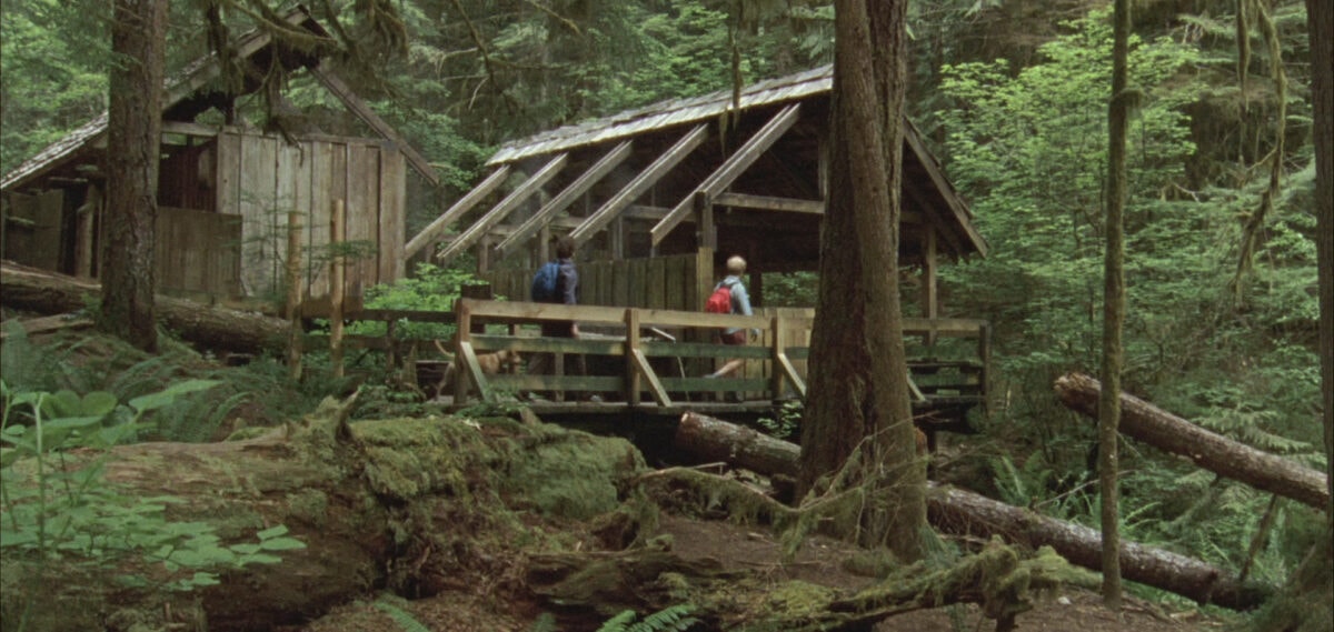 La cabane dans les bois dans Old Joy