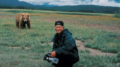 Timothy Treadwell près d'un ours dans Grizzly Man