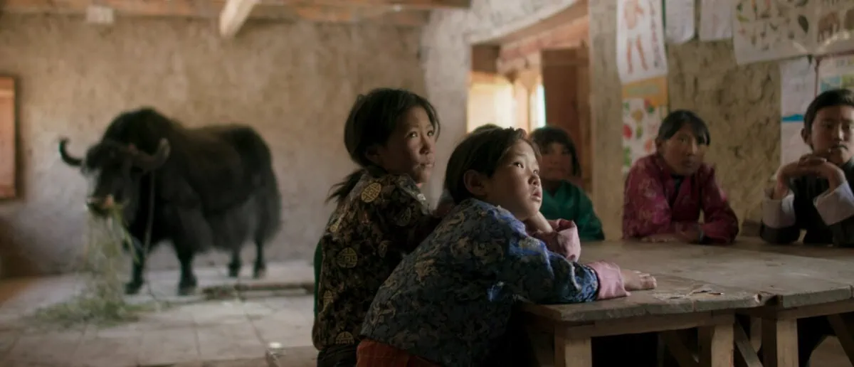 Le Yak dans l'école du village de Lunana dans L'école du bout du monde