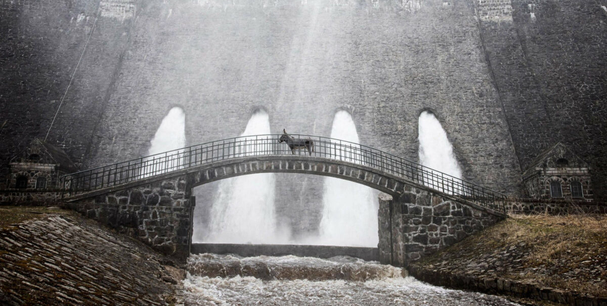 L'âne traverse un pont dans EO