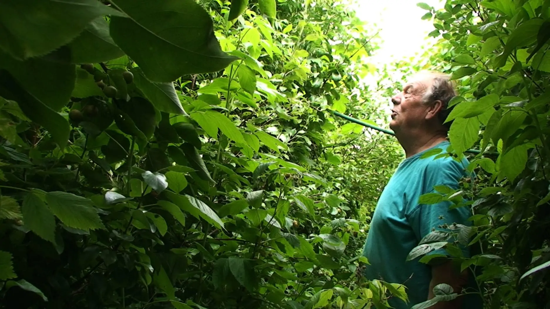 Gilbert dans son jardin dans La Jungle étroite de Benjamin Hennot