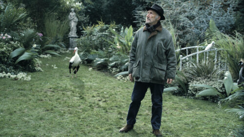 Rufus dans un jardin avec une cigogne dans Chant d'hiver