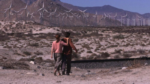 Les deux acteurs de Twentynine Palms dans le désert