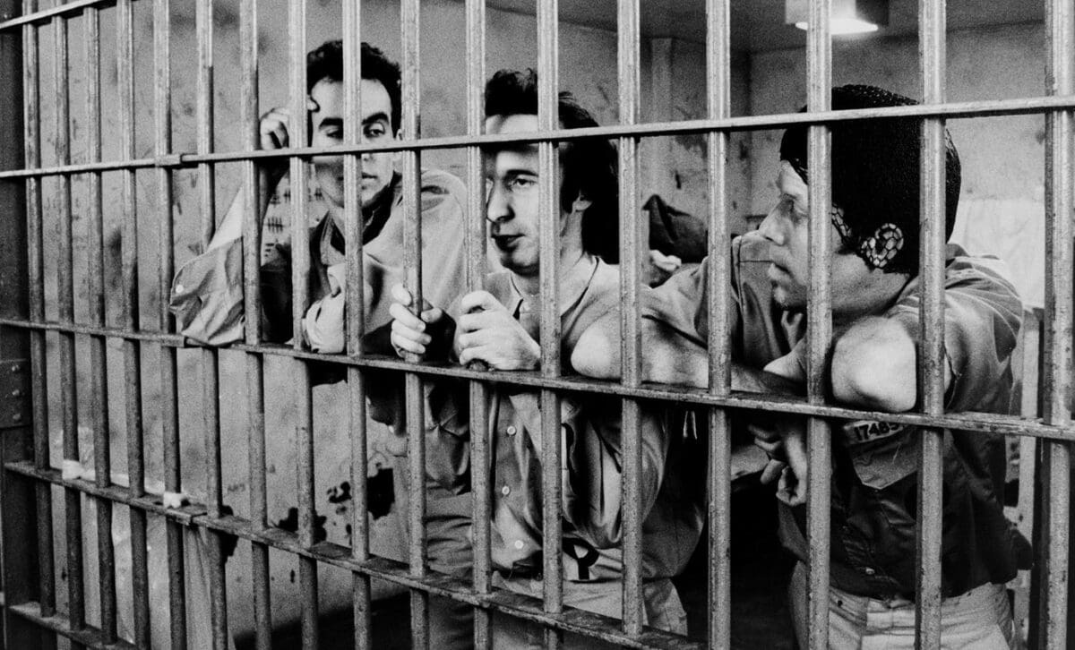 Roberto Benigni, Tom Waits et John Lurie collés contre les barreaux de leur cellule dans Down By Law