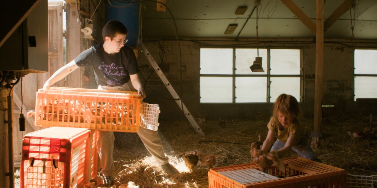 Le film Élever au grain d'Alice Godart présenté au Festival En Ville