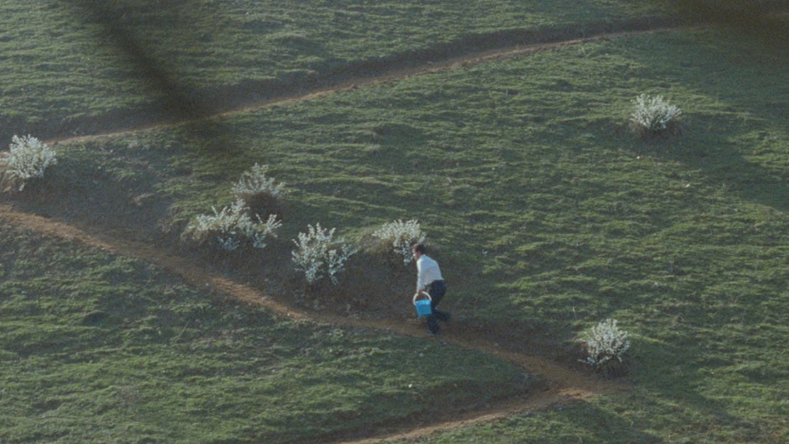 Un paysage célèbre typique du cinéma d'Abbas Kiarostami