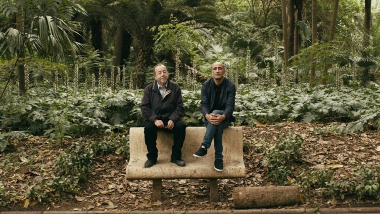 « Alea Jacarandas » de Hassen Ferhani : Mauve qui peut (la vie)